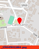 posizione della IMMOBILIARE CALVISANO SRL