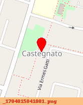 posizione della CASTELVEDERE ALDO e C (SRL)