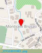 posizione della ELETTROIMPIANTI DI PEDRETTI MARINELLA