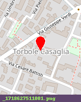 posizione della FONDERIA DI TORBOLE SPA