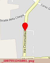 posizione della SILVA e CO SRL