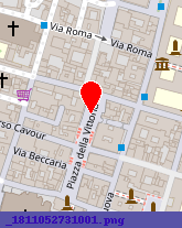 posizione della GIOIELLERIA FASSINA SAS DI RICCARDO FASSINA e C
