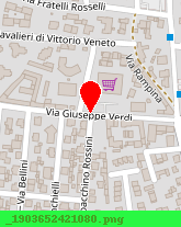 posizione della VIA VERDI (SRL)