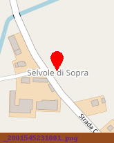 posizione della SELVOLINA SAS