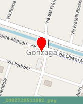 posizione della GONZAGA COLOR SRL