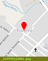 posizione della MUNICIPIO DI TRICERRO