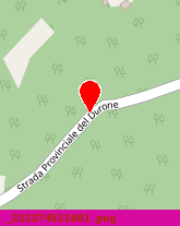 posizione della FLLI ARTINI DELFO e PLACIDO SNC