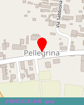 posizione della SOCIETA-AGRICOLA LA PELLEGRINA SPA