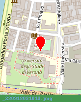 posizione della UNIVERSITA DEGLI STUDI DI VERONA