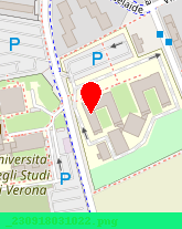 posizione della UNIVERSITA' DEGLI STUDI DI VERONA LABORATORIO SERVIZIO DI FISICA