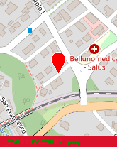 posizione della BELLUNO DAYHOSPITAL SRL