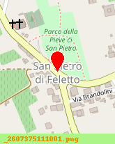 posizione della COMUNE DI SAN PIETRO DI FELETTO