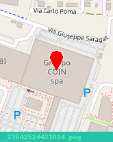 posizione della GRUPPO COIN SPA