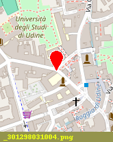 posizione della UNIVERSITA DEGLI STUDI DI UDINE