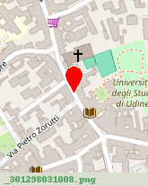 posizione della UNIVERSITA-DEGLI STUDI DI UDINE