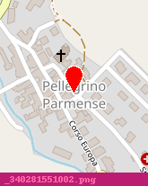 posizione della PELLEGRINO FORMAGGI (SNC)