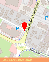 posizione della SERVIZI SRL