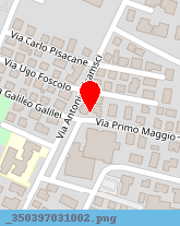 posizione della FALEGNAMERIA VAL D'ENZA DI CARRI GIANFRANCO e C - SNC