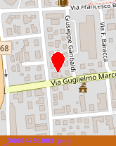 posizione della PREVA PALTRINIERI RENATO e VANNI (SNC)