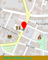 posizione della OPT SRL