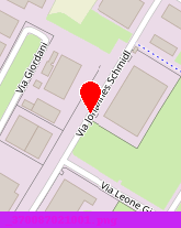 posizione della AM IMMOBILIARE SRL