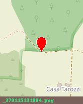posizione della KING DI ANTONELLA CAPRA