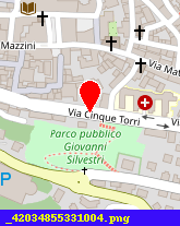 posizione della PALLOTTINI SILVANA