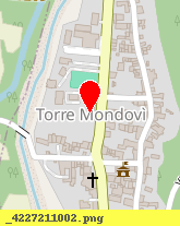 posizione della CARTIERA TORRE MONDOVI' (SPA)