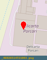 posizione della DELICARTA SPA