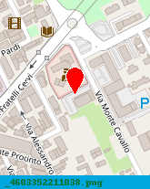 posizione della PEZZINI RINA