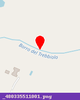 posizione della ALBERGO IL TREBBIOLO