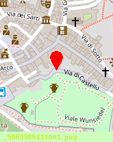 posizione della AUXILIUM VOLTERRA SPA