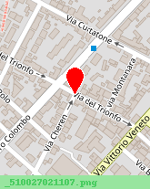 posizione della TOSCOCARTA - SRL