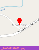 posizione della MONTESU GIOVANNI