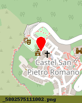 posizione della COMUNE DI CASTEL SAN PIETRO ROMANO