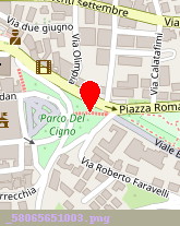 posizione della BANCA DI ROMA SPA