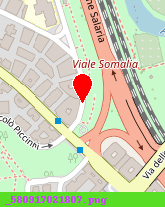 posizione della IMMOBILIARE MASCAGNI SRL