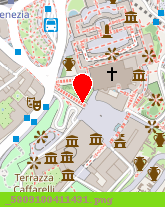 posizione della SCHIAVO