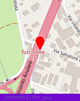 posizione della VETERINARIA ROMA SUD SRL