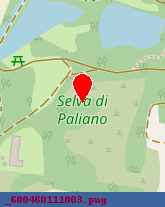 posizione della LA SELVA SPA