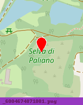 posizione della LA SELVA SERVIZI SRL