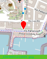 posizione della COLELLA