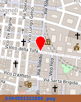 posizione della DEMOCRATICI DI SINISTRA FED DI NAPOLI