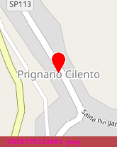 posizione della COMUNE DI PRIGNANO CILENTO