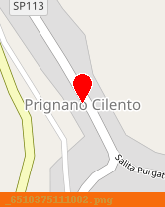 posizione della COMUNE DI PRIGNANO CILENTO