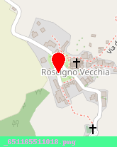 posizione della TRIANT DI ANTICO ANNA MARIA e C - SAS
