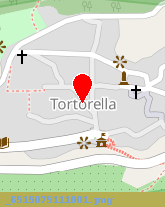 posizione della COMUNE DI TORTORELLA