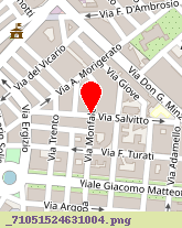 posizione della EDILIZIA VIALE MATTEOTTI SRL