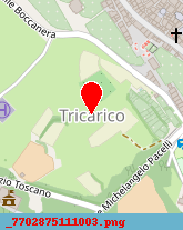 posizione della COMUNE DI TRICARICO