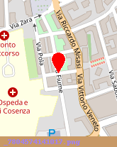 posizione della AZIENDA SANITARIA N 4 COSENZA